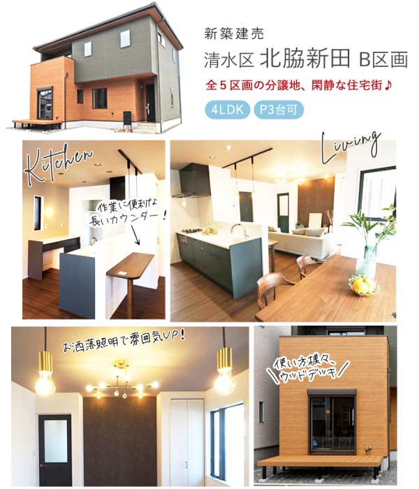 清水区 北脇新田 B区画 新築 建売